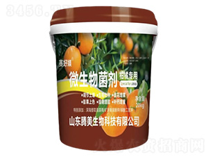 ���ٌ���΢�������-�v������