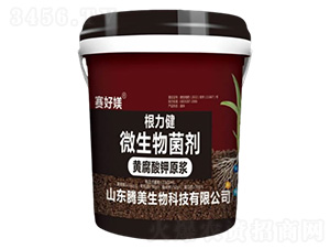 ������΢�������-�v������