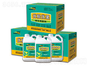 ��������΢�������-������-�vɭ�ʘI