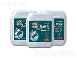 ̼ø�~����-������-�vɭ�ʘI