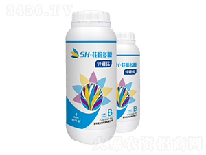 SH-���۶���-�\����-���A��