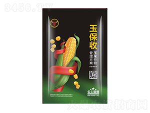 �������a���g��-����-��ţ���H