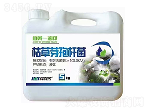 ���Sһ�΃�-�����r