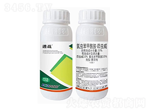 20%���x�������������x��-͸��-�����r