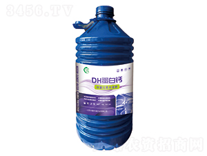 DH�����}-�ֈ@��-�A���SԴ