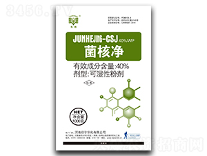 40%���˃��ɝ��Էۄ�-�L(zh��ng)��-�����r(n��ng)��