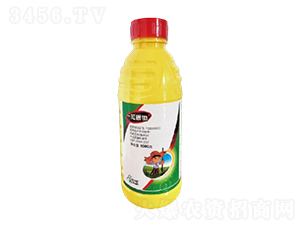 41%�ݸ�좮����@�}AS-һ�[�y�-һ�[�Ƽ�