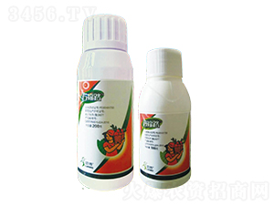 40%���ѡ�����SC-�f��·-һ�[�Ƽ�