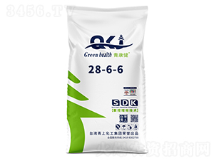 �࿵���ͺϷ���28-6-6-�_������