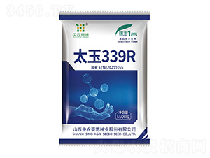 ̫��339R-���rِ��