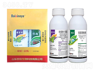 ¶�����M��-��������