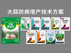 ����������a���g����-�P�