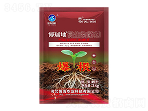微生物菌劑(爆根)-博瑞地-博海作科