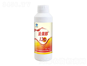 金果郎12元素-博海作科