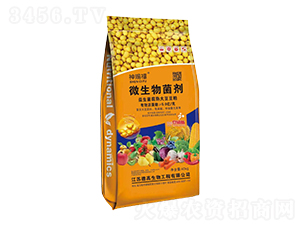 ΢�������-���n��-�Ą���ţ