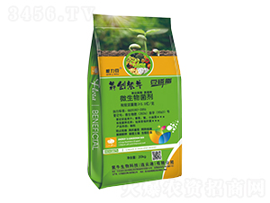 ΢�������-������-�Ą���ţ