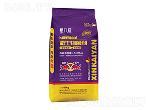 ����֬΢�������-������-�Ą���ţ