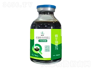 ���������ߵ���-���|�z-�Ƶ��A