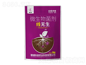 ΢�������-���o��-���|�z-�Ƶ��A