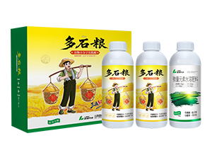 ����С�����ЙC�ᣨ������Y��-��ʯ�Z-�{���r�I