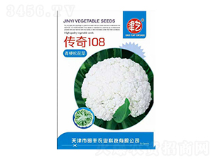 花菜種子-傳奇108-邯豐農(nóng)業(yè)