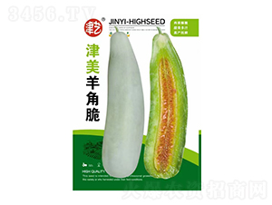 羊角蜜種子-津美羊角脆-邯豐農(nóng)業(yè)