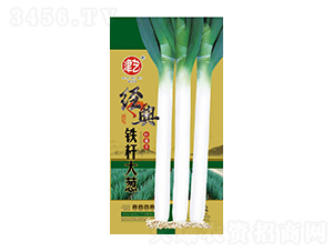 大蔥種子-鐵桿大蔥-邯豐農(nóng)業(yè)