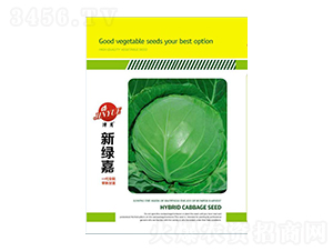 甘藍種子-新綠嘉-邯豐農(nóng)業(yè)