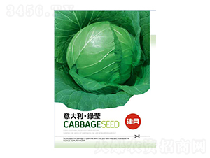 甘藍種子-意大利綠瑩-邯豐農(nóng)業(yè)