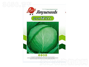 甘藍種子-意大利綠寶石-邯豐農(nóng)業(yè)