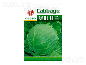 甘藍種子-綠旺甘藍-邯豐農(nóng)業(yè)