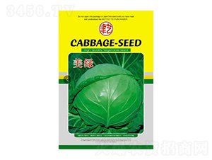 甘藍種子-美綠-邯豐農(nóng)業(yè)