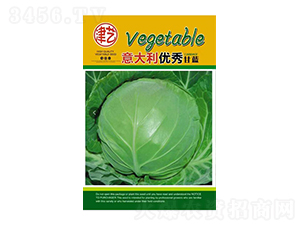 甘藍種子-邯豐農(nóng)業(yè)