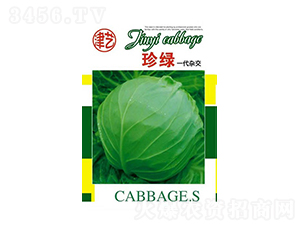 甘藍種子-珍綠-邯豐農(nóng)業(yè)