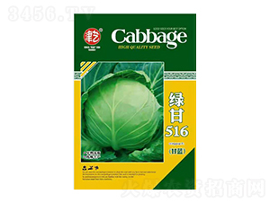 甘藍種子-綠甘516-邯豐農(nóng)業(yè)