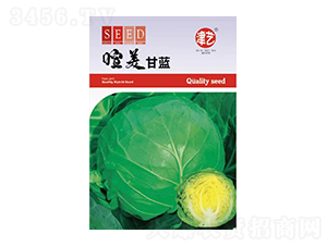 甘藍種子-喧美甘藍-邯豐農業