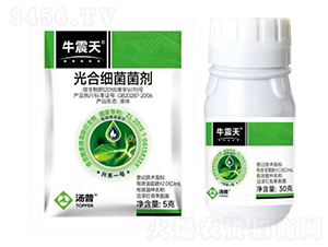 ��ϼ�������-ţ����-���՘�