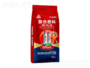 �ͺϷ���28-13-10-�����S