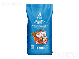 �����ø�t���-΢�������-����