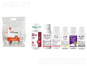 ��ʩ��С��ʮ���ײ�-��������