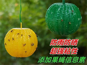 �G�T���Tω��-�������