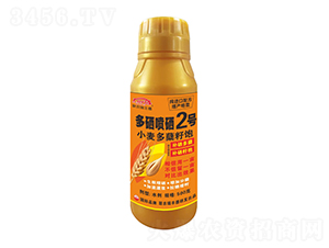 С�����Y���������2̖-�����r��