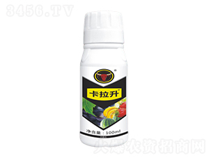 �׷ی���-������-��ţ���H