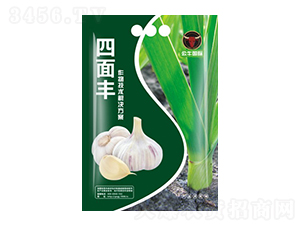 �������a���g��-�����S-��ţ���H