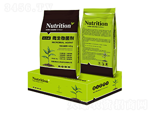 ΢�������-�֠�ʩ-ϧ��