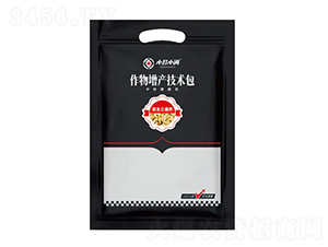 �������a���g��-��������ˎ-С��С�[-��������