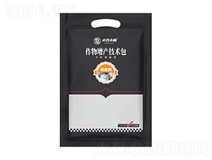 �������a���g��-�����-С��С�[-��������