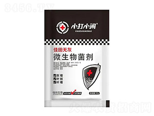 ΢�������-����o��-С��С�[-��������