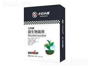 ΢�������-������-С��С�[-��������