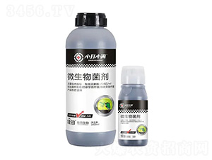 ΢�������-С��С�[-��������